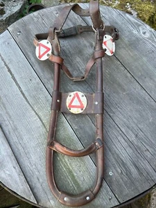 RARE VINTAGE BLIND MAN GUIDE DOG HARNESS ENAMEL RED CROSS / TRIANGULAR /  BADGES - Picture 1 of 9