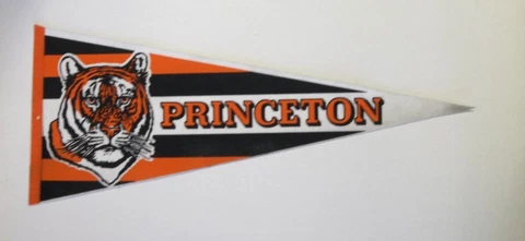 Princeton Tigers Vintage Felt Pennant 12x30 No Pinholes Unsold Stock Cover