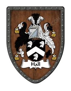 Escudo de armas personalizado Hall Family Crest, escudo de pared colgante SH503P-DG-HG - Imagen 1 de 3