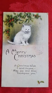 De colección. Postal de Navidad 1917 "Feliz Navidad" White Kitten & Holly Berries - Imagen 1 de 2