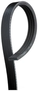 Gates K040398 Quality U.S.A Made Premium OE Serpentine Micro-V Belt - Bild 1 von 1