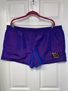 Vintage Surf Style Iridescent Purple Shorts Men’s Size: See Description - Picture 1 of 9