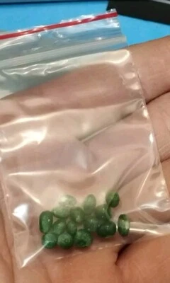 15 pezzi angurie scala 1/87 fatte a mano e verniciate - Immagine 1 di 4