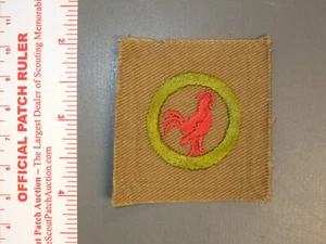 Boy Scout square merit badge Poultry keeping 2979NN - Picture 1 of 1