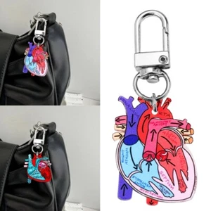 Anatomical Heart Keychain Educational Human Heart Charm for Physical Enthusiasts - Zdjęcie 1 z 13