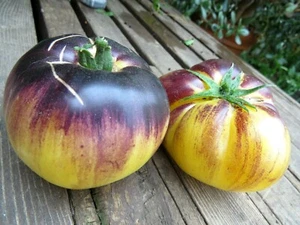 Sart Rolaise - spektakuläre Farbe und Geschmack passend - Bild 1 von 2