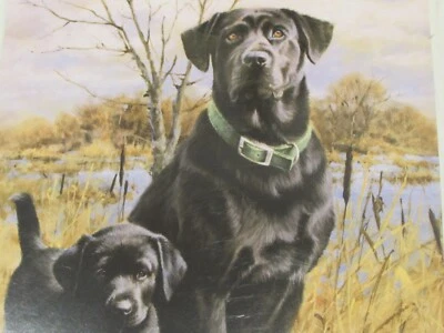 Manta de felpa de terciopelo para perros y cachorros - negra, marrón, beige con bordes de ganchillo Foto 1 de 4