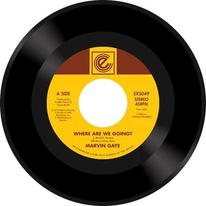 MARVIN GAYE Where Are We Going? - Modern Soul 45 (Expansion) 70s Soul *Listen 7" - Picture 1 of 3