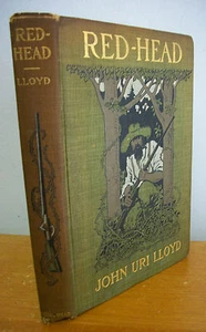 RED HEAD by John Uri Lloyd with Illustrations by Reginald B Birch, 1903 1st Ed - Picture 1 of 3