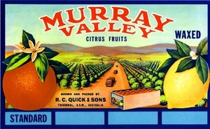 Impresión artística etiqueta caja cítricos limón naranja Murray Tocumwal Australia - Imagen 1 de 1