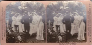 STEREOVIEW - Perfec-Stereograph, H.C. White Co. - To the health of the Bride - Picture 1 of 2