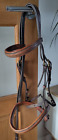 Leather Padded Cavesson Bridle With Continental Web Reins / Small Horse / Brown