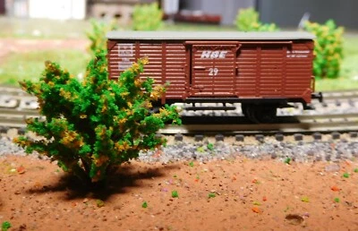 10 Yellow Blooming Bushes, Shrubs, 40 mm High - Image 1 of 4