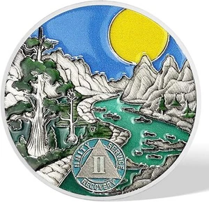 Sunlight 2 Year Sobriety Coin Recovery Two Year AA Coins Serenity Prayer AA Chip - Picture 1 of 13
