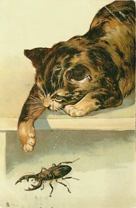 Cat plays with beetle insect, Tuck 1018 - Bild 1 von 2