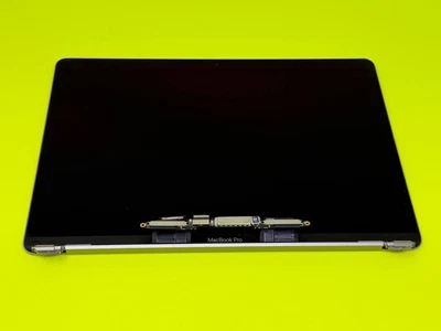 MacBook Pro 13.3" MID 2017 A1706 EMC 3163 LCD Display Screen Assembly -  GRAY - Image 1 of 2