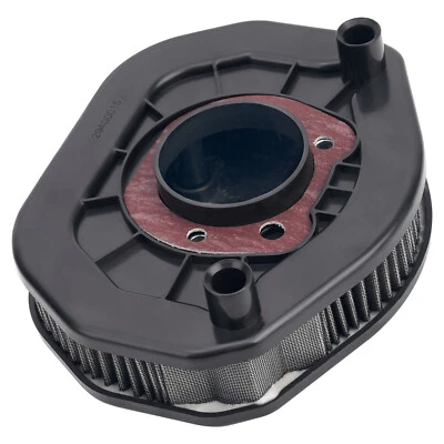 Filtro de aire 29400015 para Harley Sportster Forty-Eight XL1200X Iron 883 2014-2022 Foto 1 de 4