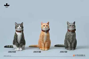 JXK 1/6 Chinese Garden Cat 5.0 Model Pet Animal Figure Orange Cat Scene Decor - Picture 1 of 36