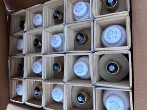 Nueva Caja de 20 Lámparas Sylvania H37KC-250/DX HID Sylvania BT 28 Mogul Blanco Brillante - Imagen 1 de 9