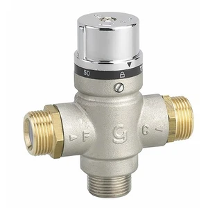 Mitigeur thermostatique à 2 clapets MM3/4? - Foto 1 di 1