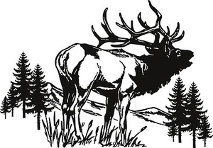 ELK SCENE WILDLIFE DECAL 12" x 8 1/2" LARGE WHITE - Picture 1 of 1