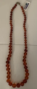 Discovery Channel Explore Your World Amber Necklace Made In Poland Very Rare - Picture 1 of 4