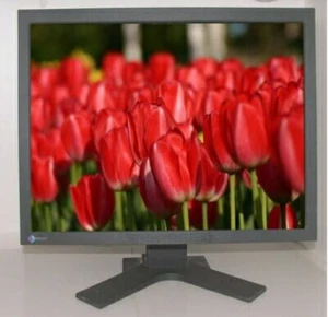 EIZO RadiForce R22 21-inch wide Class Color LCD Monitor Black - Picture 1 of 1