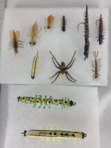 Vintage Fly-Fishing Lure Lures Lot Rubber Insects Bugs Flies Caterpillars - Picture 1 of 15