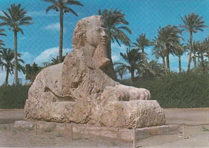 Cartolina d'epoca - Giza - La Sfinge di Sakkara - Foto 1 di 1