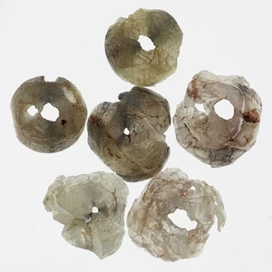 1.88 Ctw 6 pcs Loose Natural Rough Diamond – Drilled Curve, Ready to Use - Picture 1 of 2