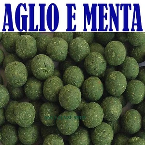 BOILIES BOILE AGLIO E MENTA BOILES CARPFISHING PESCA CARPA PASTURA ESCA INNESCO - Foto 1 di 1