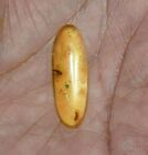 5.80 Cts. Natural Genuine Old Baltic Amber Untreated Certified Gemstone