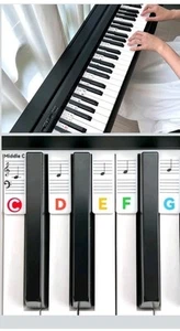 Removable Piano Keyboard Note Labels, Piano Notes Guide for Beginner,Piano Key - Picture 1 of 6