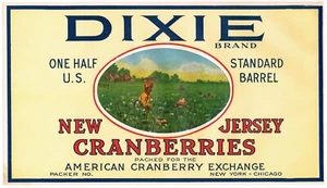 ORIGINAL 1930S NEW JERSEY CRANBERRY CRATE LABEL DIXIE RARE NEW YORK CHICAGO BIG - Picture 1 of 1