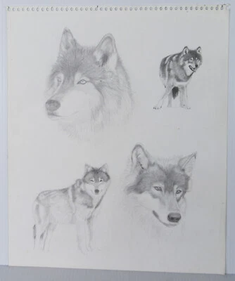 15" Vintage Dibujo a Lápiz Boceto Lobos Cachorros Candace McCall Americana III Foto 1 de 4