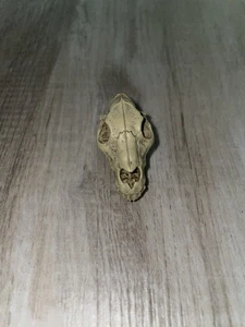 Mythic Legions All Stars 6 Wolf skull - Picture 1 of 2