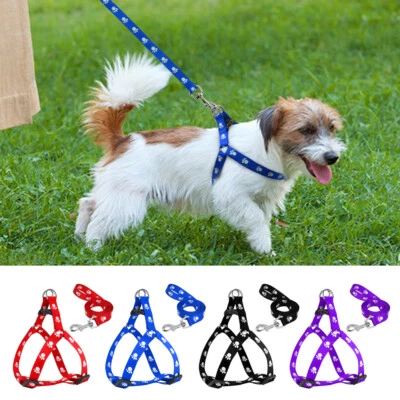 Nylon Cute Paw Print Puppy Dog Strap Harness and Leads Leash Set for Small Dogs - Image 1 of 4