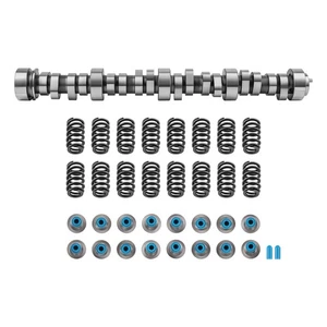 Árbol de levas + resortes + kit de sellos de sombrero para camionetas GMC 4,8 L 5,3 L 6,0 L 6,2 L 12638427 - Imagen 1 de 19