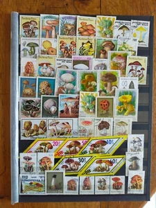 +50 Timbres Champignons ( lot S 161 ) - Photo 1/1