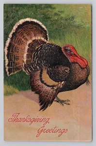 Saludos de Acción de Gracias - Big Turkey 1907 postal en relieve - Imagen 1 de 2