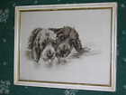 ORIG ANTIQUE WATERCOLOUR PAINTING OF 2 OTTERHOUNDS OTTER HOUND SIGNED DATED 1911