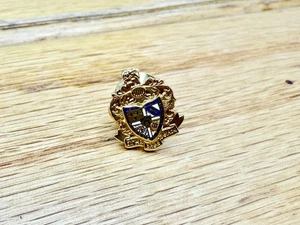 Sigma Alpha Epsilon Wappen Pin - Bild 1 von 2