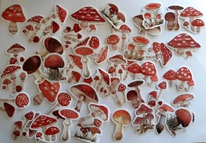 Mushrooms Stickers, 46pcs Set, Kawaii Paper Sticker - Bild 1 von 7