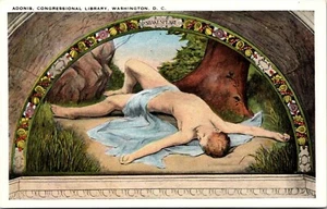 Adonis by H.O. Walker Congressional Library Washington DC Postcard - Picture 1 of 2