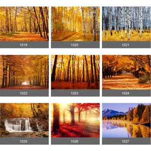 Wandbild Wald Herbst Baum Blätter Vinyl Tapete selbstklebend Schälen & Kleben - Bild 1 von 19