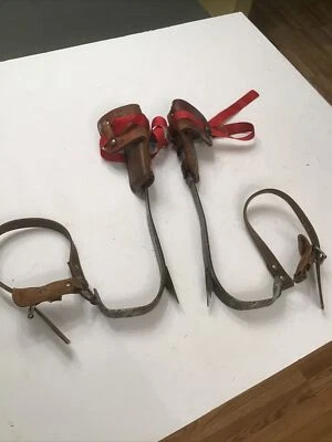 Acolchado de cuero con púas de escalada de árbol/polo de Buckingham de colección 9107 3122 ajustable Foto 1 de 4