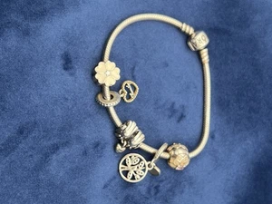 Autentico Bracciale Pandora S925 Argento Sterling con alcuni Charms ALE Albero Famiglia - Foto 1 di 12