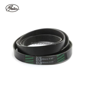 11287618848 OEM Gates Multi-V Belt for BMW 328i 320i F30 F31 528i F10 F11 X3 F25 - Foto 1 di 3