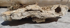 Large Aquarium Rock Decoration 12.25" x 6.25" x 3.5" - 5.4 LBS Aquascape Rock - Picture 1 of 12