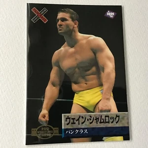 BBM Wrestling Card 1995 Ken Shamrock Pancrase UFC Pride WWE No.112 - Picture 1 of 6